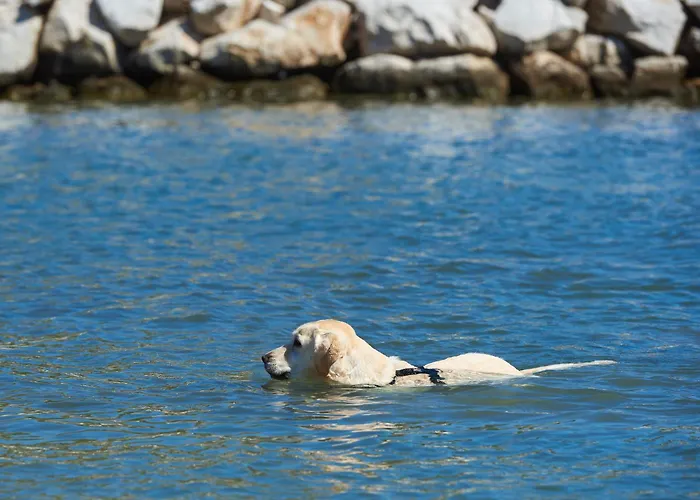 Stobrec キャンプ場