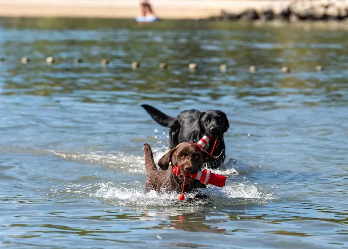 Stobrec キャンプ場 スプリト