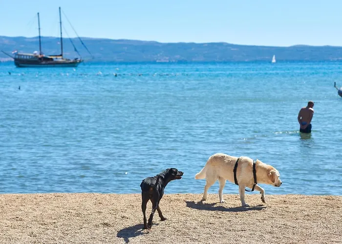 Stobrec 营地 斯普利特